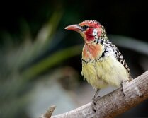 5D-074476_Web