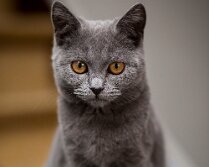 5D-093878_Web