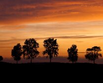 IMG_49993_2