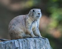 IMG_49159