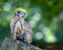 IMG_49186