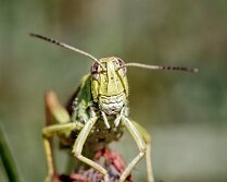 7D_014653