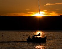 IMG_43382