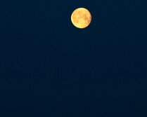 IMG_55038